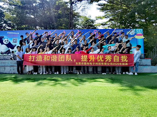 公司团建活动